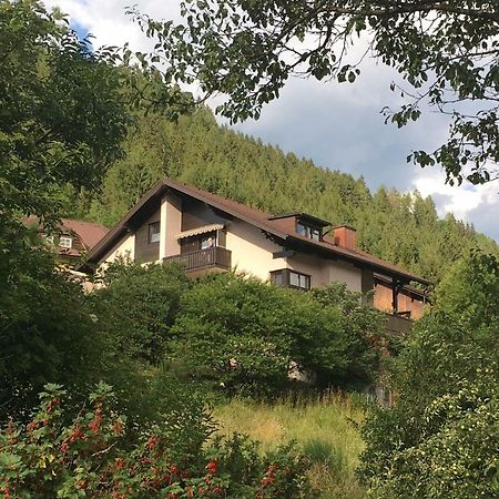 Haus Agnes, Murau Eksteriør billede