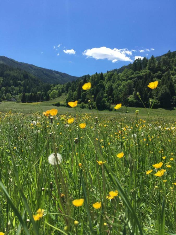 Haus Agnes, Murau Eksteriør billede