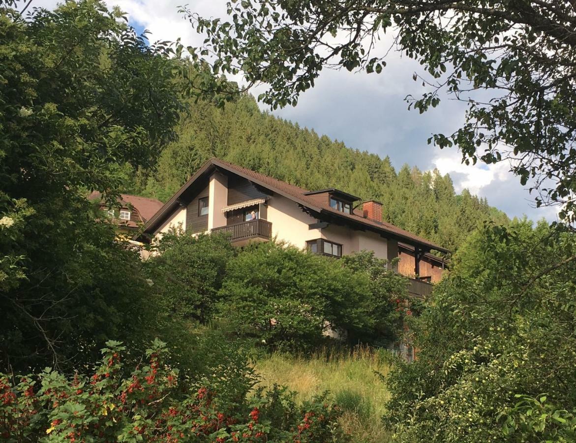 Haus Agnes, Murau Eksteriør billede